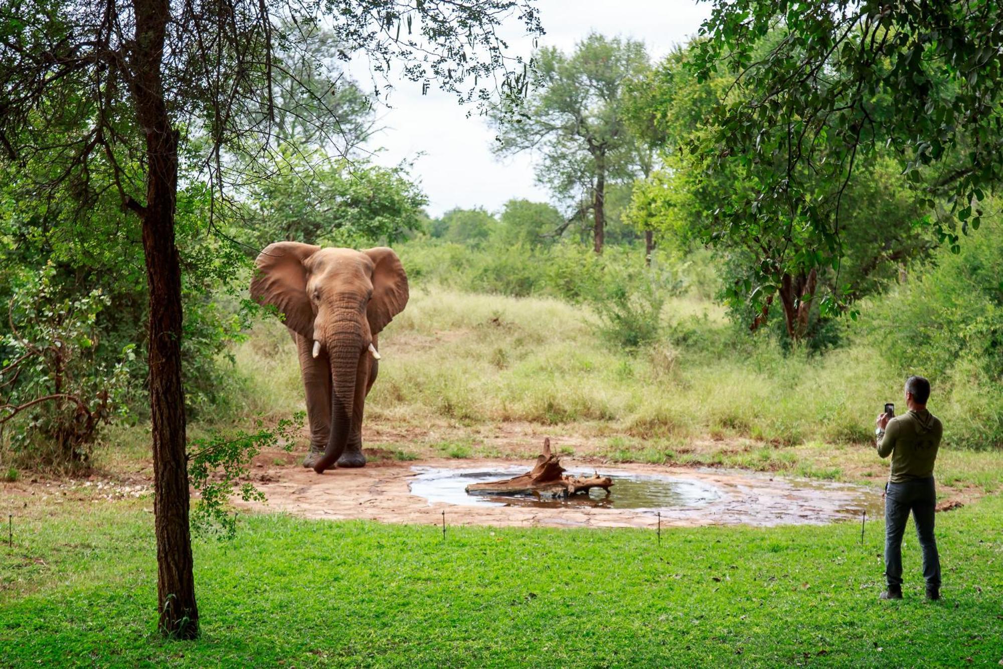 Sable Creek Safari Lodge Tzaneen Exterior photo